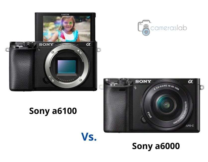 Sony a6000 vs a6100