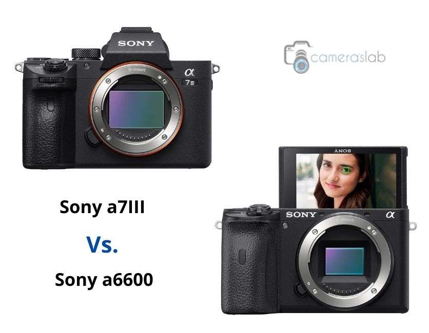 Sony a6600 vs a7III
