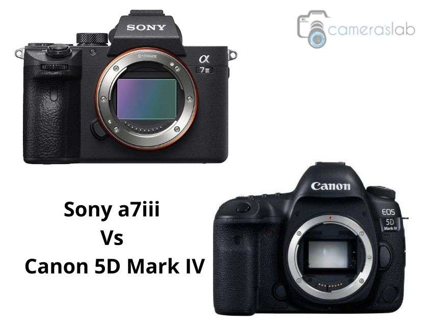 Sony a7iii vs Canon 5D Mark IV