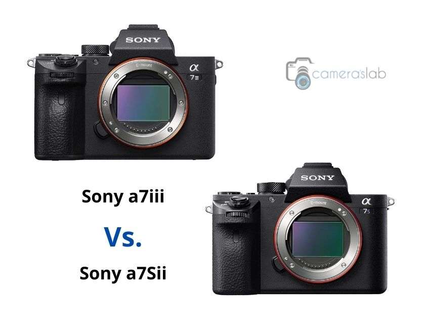 Sony a7sii vs a7iii