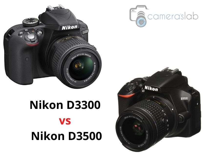 Nikon D3300 vs D3500