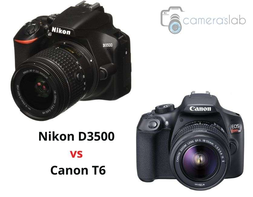 Nikon D3500 vs Canon T6