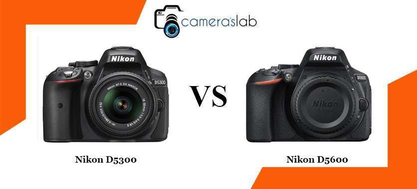 Nikon D5300 vs D5600 - Find Out Why We Suggest the Nikon D5600?
