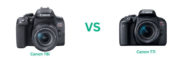 Canon T7i vs T8i